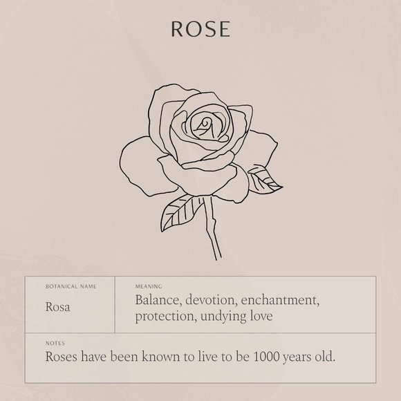 Rose June Birth Flower Engraved Cute Gift Necklace - Picture 8 of 16